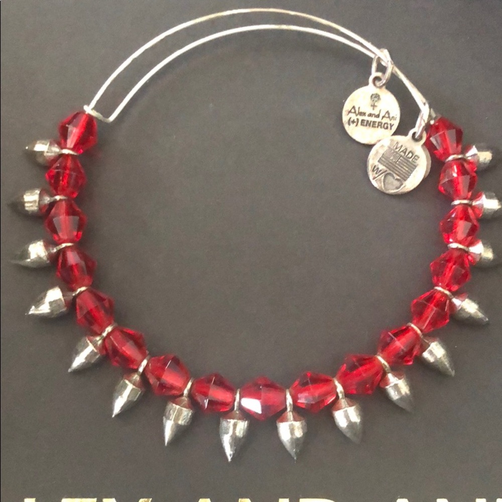 Alex And Ani - exclusive, one of a kind bangle